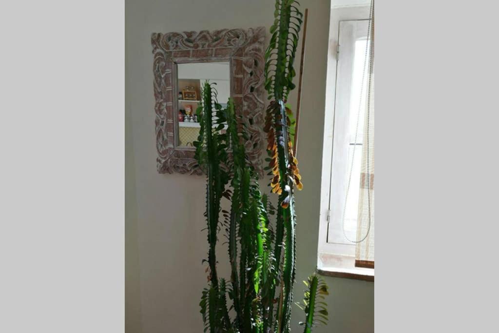Apartamento Con Espectaculares Vistas! Tarifa Zewnętrze zdjęcie